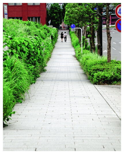 bb media photos album directory image medium