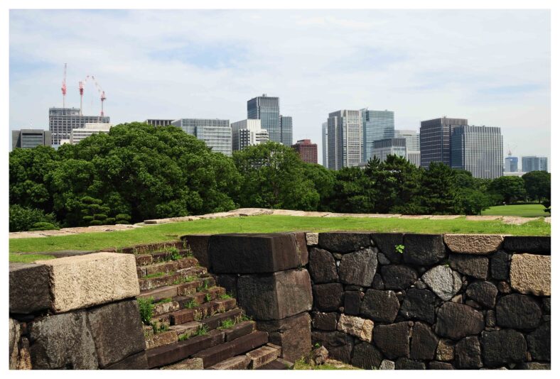 bb media photos album directory image medium