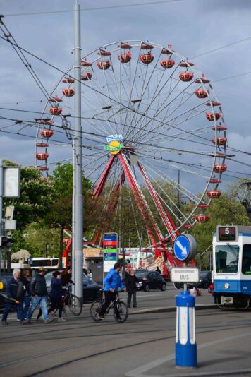 bb media photos album directory image medium