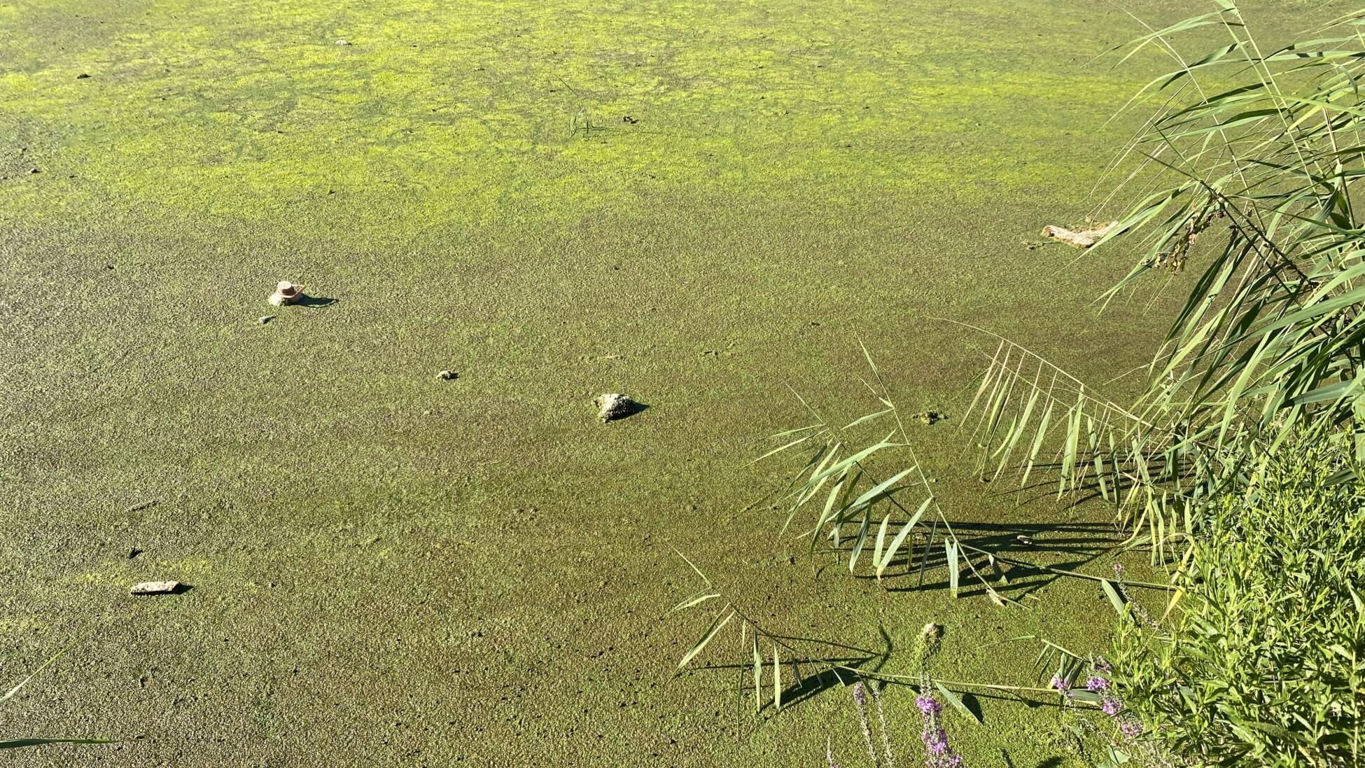 64365cb677fcf bp cover image